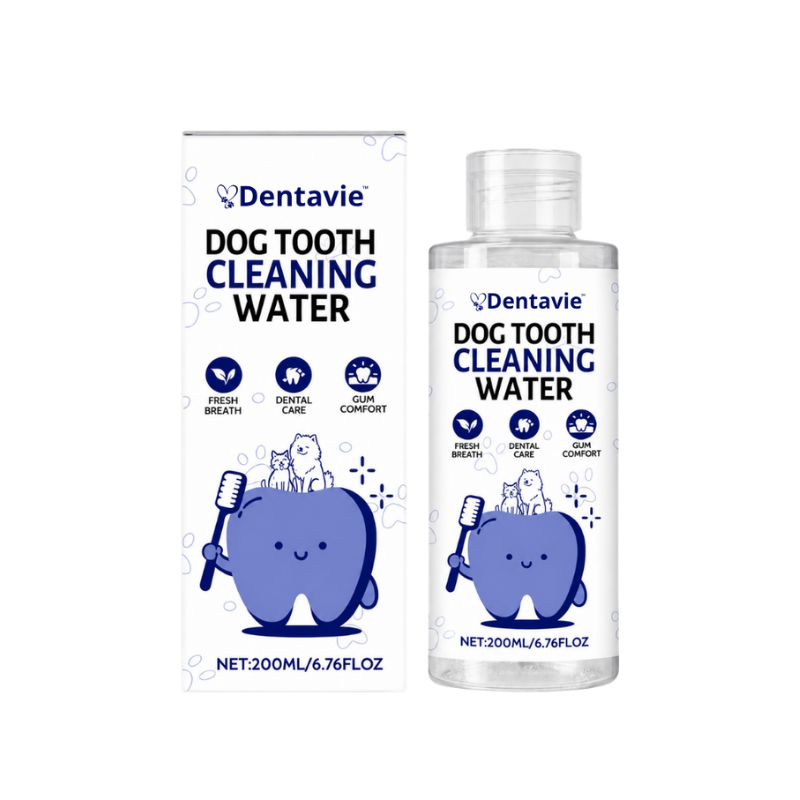 Dentavie