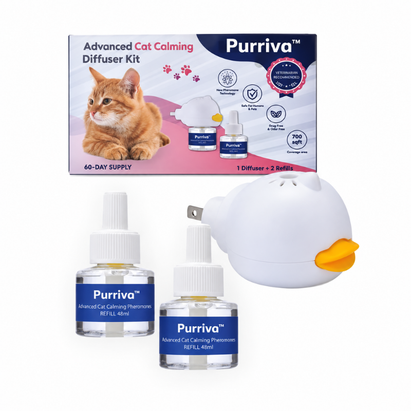 Purriva